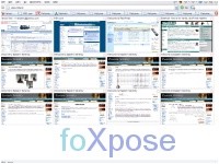 viamatic_foxpose-2.jpg
